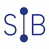 SIB [numérique, santé et secteur public]