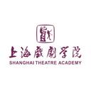 Shanghai Theatre Academy
