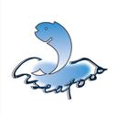 VISEAFOOD INTERNATIONAL LIMITED