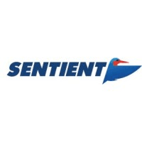 Sentient Vision Systems Logo