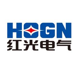 红光电气集团有限公司 Logo