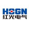 红光电气集团有限公司