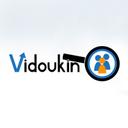 Vidoukin Group