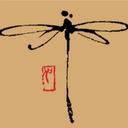 Dragonfly Therapeutic Retreats