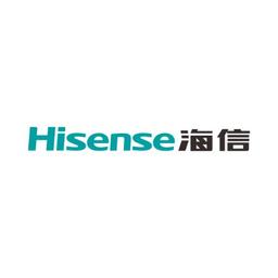 Hisense Group Logo
