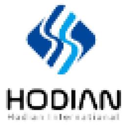 Hodian International Consultants Logo