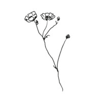 Mumbaistockholm Fine Jewelry Studio Logo