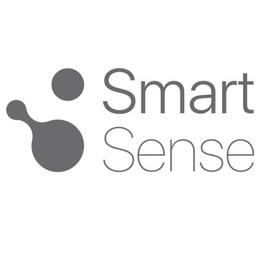 Smart Sense Global Logo