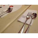 星河互联（控股）北京有限公司