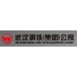 Wuhan Iron And Steel Co., Ltd.. Logo