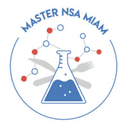 Master NSA Miam - Rennes