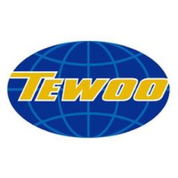 Tewoo Group Co., Ltd. Logo