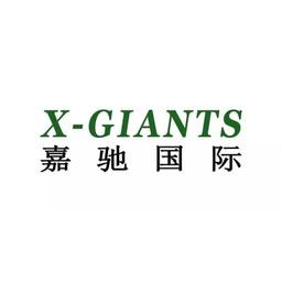 嘉驰国际合肥分部 Logo