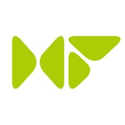 Hi-Flying Technology Limited Logo