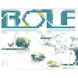 Bole Solutions Logo