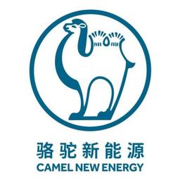 骆驼集团武汉新能源科技有限公司 Logo