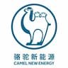 骆驼集团武汉新能源科技有限公司