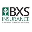 BXS Insurance