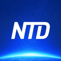 NTD Logo