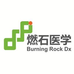 燃石医学 Burning Rock Biotech Logo