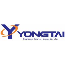 Shandong Yongtai Group Co., Ltd. Logo