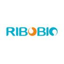 RiboBio