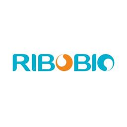 RiboBio Logo