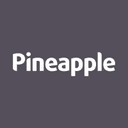 Pineapple Furniture