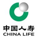 中国人寿保险股份有限公司(王村营销服务部)