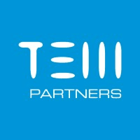 TEM PARTNERS Logo