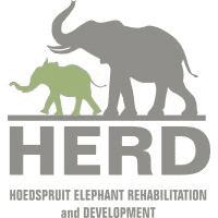 Herd - Hoedspruit Elephant Rehabilitation AND Development Logo