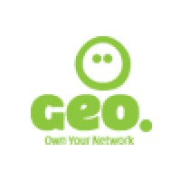 Geo Networks Logo
