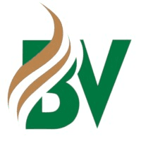 Big Valley Packaging (520) 988-3002 Logo