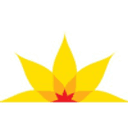 Australian Cervical Cancer Foundation (ACCF)