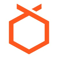Orange Charger Logo