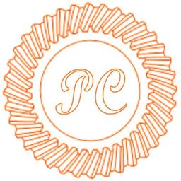 PowerCAM Prototype Technology (Dongguan) CO.,LTD Logo