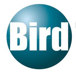 Bird Talent | 博赫咨询 Logo