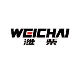 Weichai Power Co., Ltd Logo