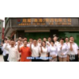 飞展(香港)物流有限公司 Logo