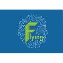 Shenzhen Flying Technology Co., Ltd