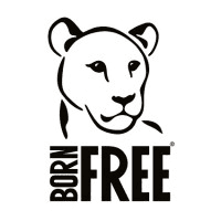 Born Free Foundation Logo