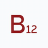 B12 for Digital Services