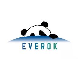 EVEROK GROUP Logo