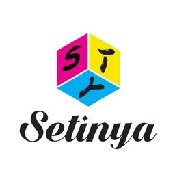 Setinya Packaging Logo