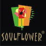 Soulflower Co Ltd