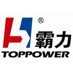 Laizhou City Toppower Petroleum Machinery Co.,LTD Logo