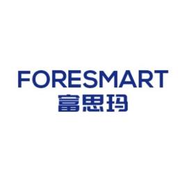 Foresmart International Forwarding Ltd Logo
