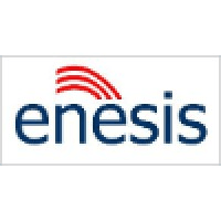 ENESIS Logo