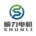 Shenzhen Shunli Motor Co.,Ltd
