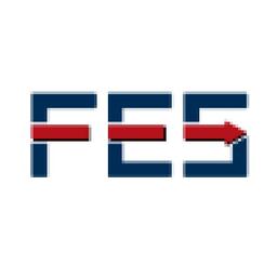 FES International Logo
